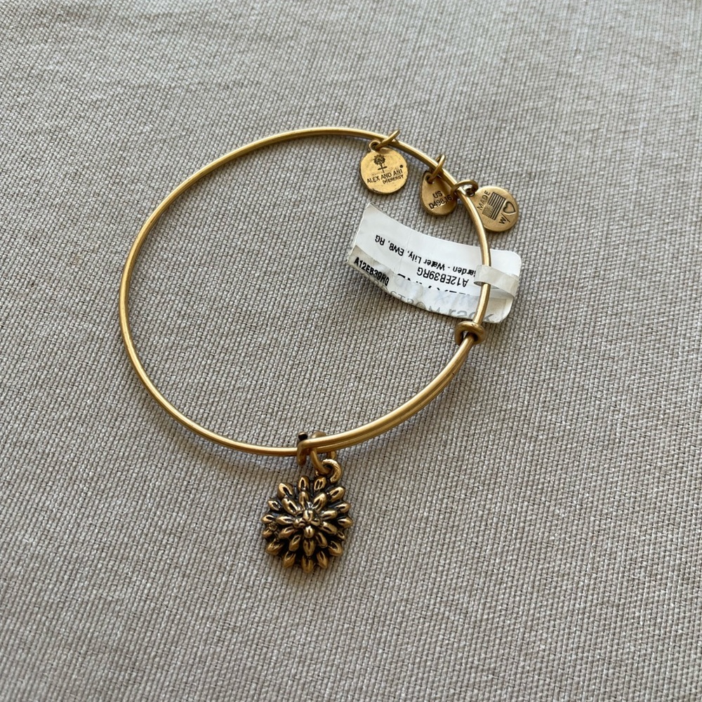 Alex and ani bracelet